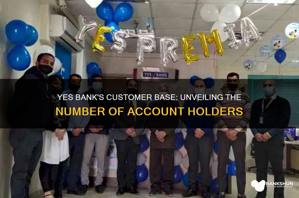 how many customers does yes bank have