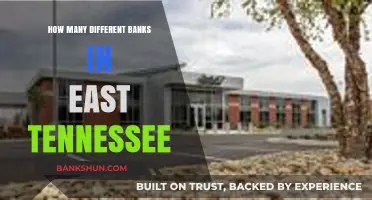 Exploring East Tennessee's Diverse Banking Landscape: A Comprehensive Guide