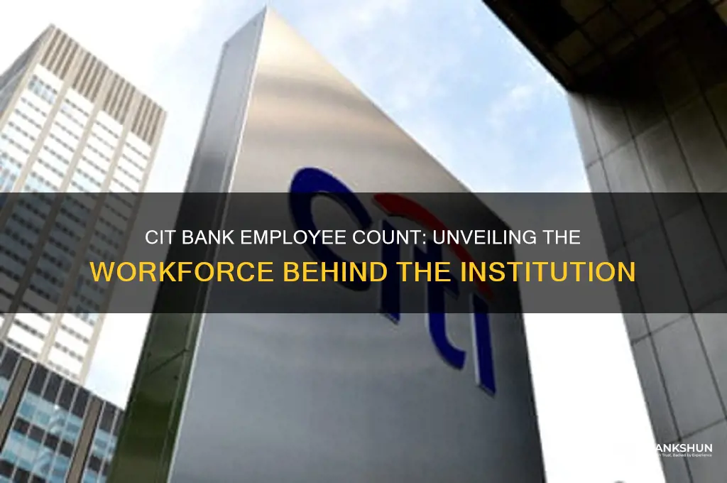 how many employees foes cit bank haave
