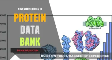 Exploring the Vast Protein Data Bank: Current Entry Count Revealed