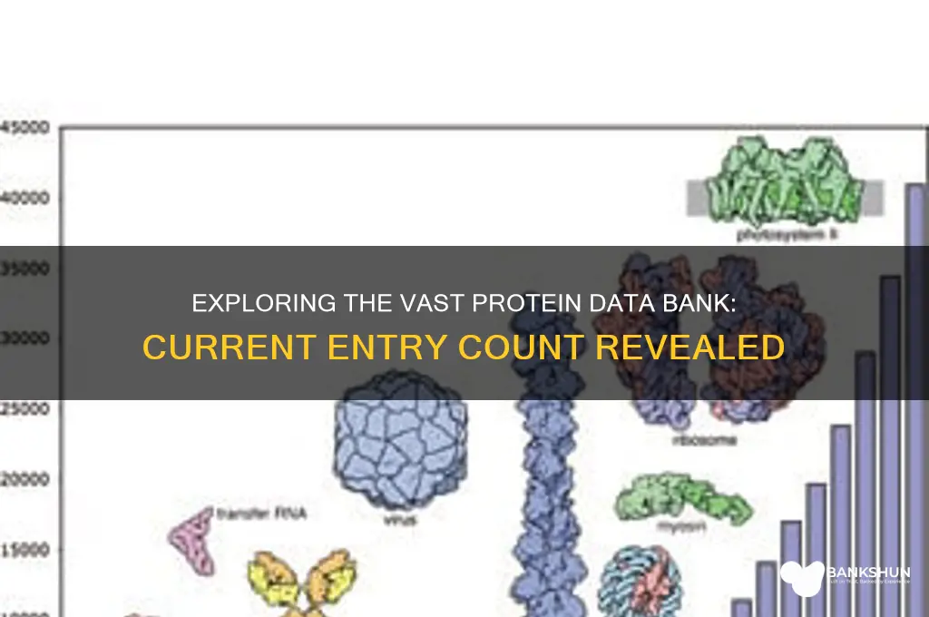 how many entries in protein data bank