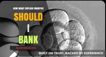 Euploid Embryo Banking: Optimal Number for Your Fertility Journey