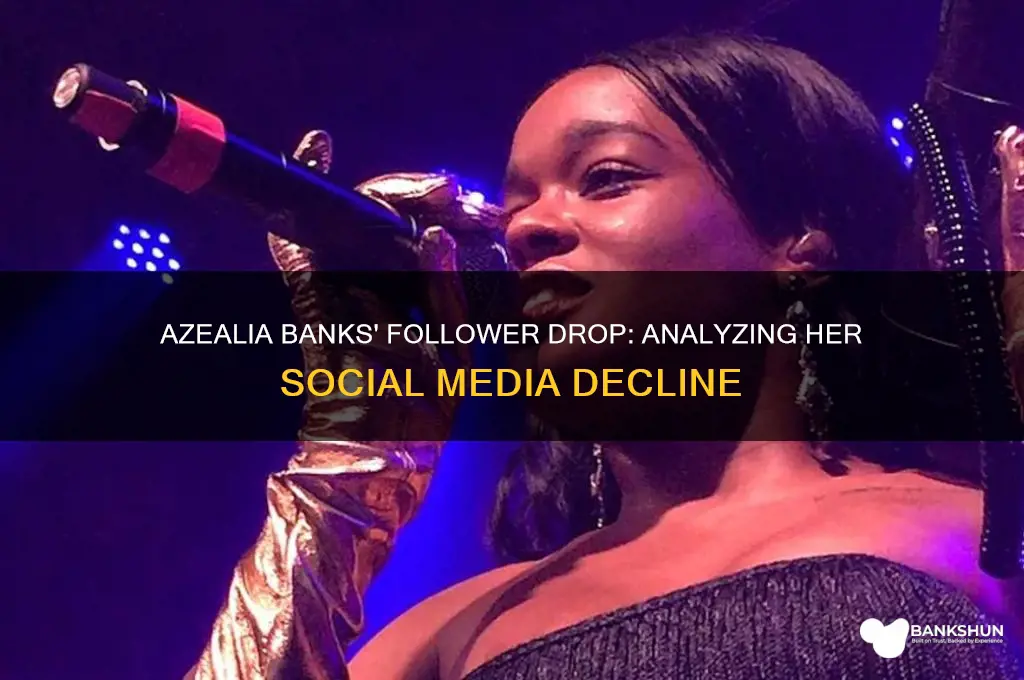 how many followers did azealia banks lose