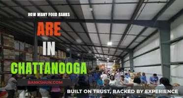 Chattanooga's Food Banks: Counting Community Support and Locations