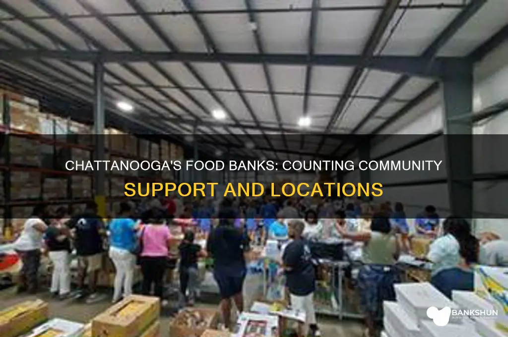 how many food banks are in chattanooga