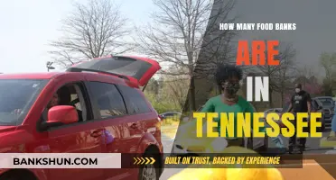 Exploring Tennessee's Food Bank Network: How Many Serve the State?