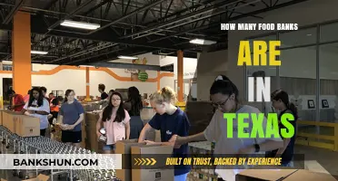 Texas Food Banks: Counting the Lifelines Across the Lone Star State