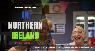 Northern Ireland's Food Banks: Counting Community Support and Locations