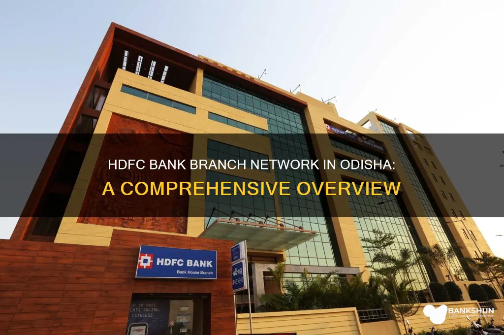 how many hdfc bank branches in odisha