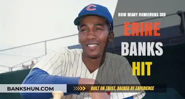 Ernie Banks' Homerun Legacy: A Deep Dive into His Career Totals