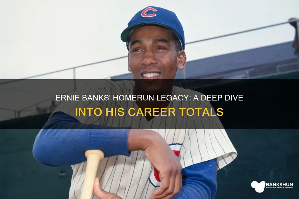 how many homeruns did erine banks hit