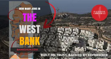 Jewish Population in the West Bank: Current Demographics and Trends