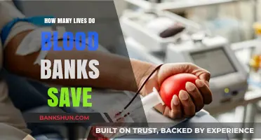 Blood Banks: Lifesaving Impact and the Power of Every Donation