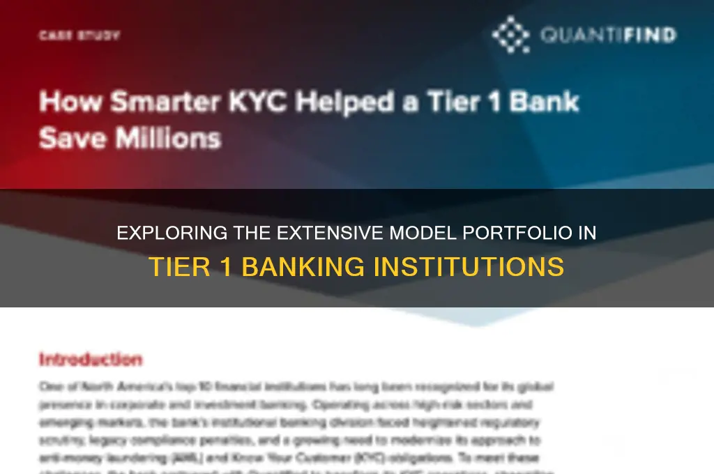 how many models in tier 1 bank