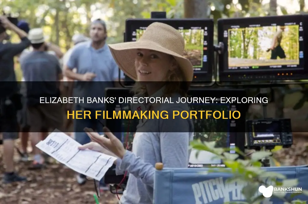 how many movies has elizabeth banks directed