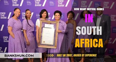 Exploring South Africa's Mutual Banking Sector: Counting the Key Players