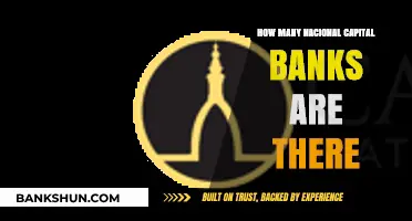 Exploring the Number of National Capital Banks Worldwide: A Comprehensive Guide