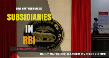 Exploring RBI's Non-Banking Subsidiaries: Count and Key Roles