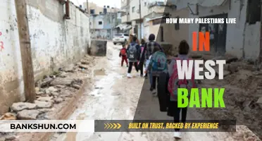 Palestinian Population in the West Bank: Current Demographics and Trends
