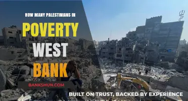 Poverty in the West Bank: Understanding Palestinian Economic Struggles