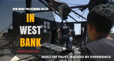 Escalating Violence: Palestinian Casualties in the West Bank Revealed