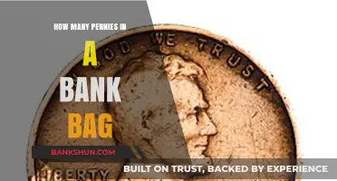 How Many Pennies Fit in a Standard Bank Bag?