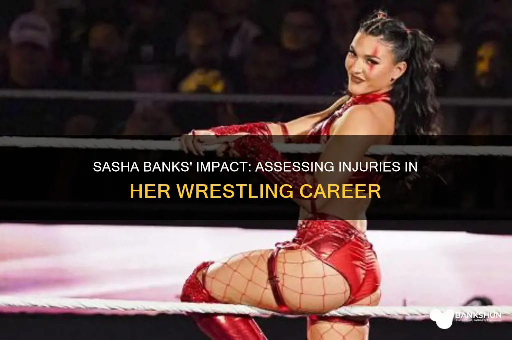 how many people has sasha banks hurt