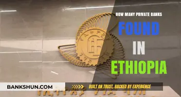 Exploring Ethiopia's Private Banking Sector: A Comprehensive Count and Overview