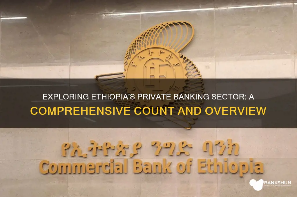 how many private banks found in ethiopia