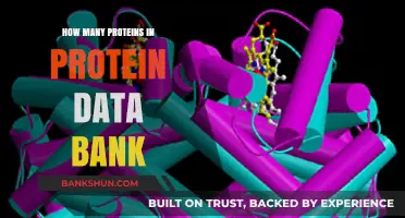 Exploring the Vast Protein Data Bank: Counting Its Protein Entries