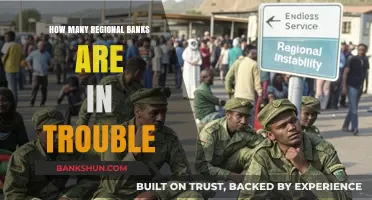 Regional Bank Troubles: Assessing the Growing Financial Instability Risks