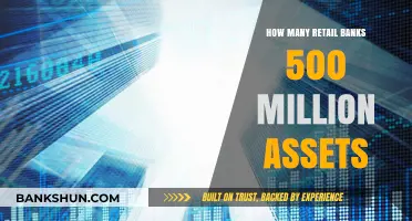 Exploring Retail Banks with Assets Exceeding 500 Million: A Comprehensive Overview