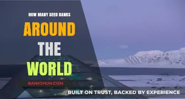 Exploring the Global Network of Seed Banks Worldwide