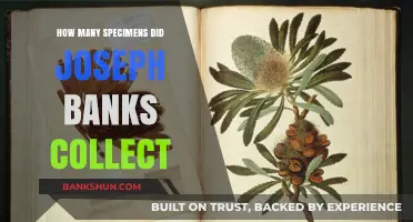 Joseph Banks' Botanical Legacy: Uncovering His Vast Specimen Collection