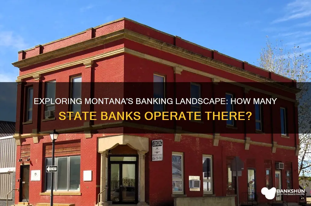 how many states bank are in montana