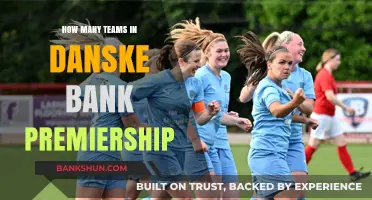 Danske Bank Premiership Teams: A Complete Overview of the League