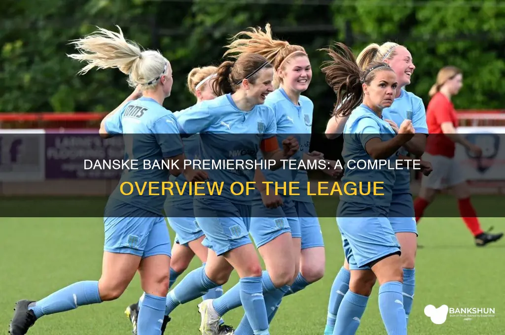 how many teams in danske bank premiership