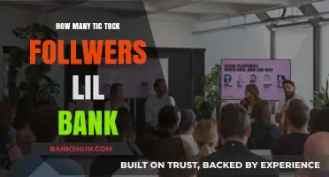 Lil Bank's TikTok Fame: Unveiling His Follower Count and Rise to Stardom