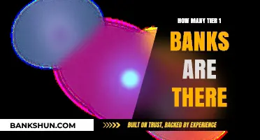 Exploring the Global Count of Tier 1 Banks Worldwide