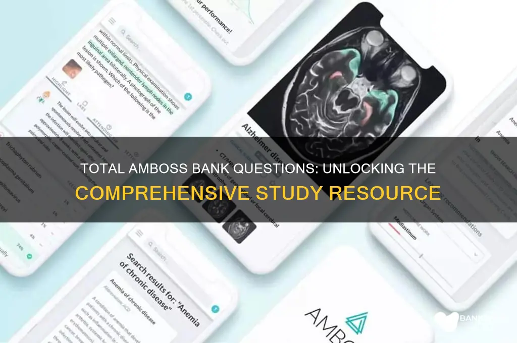 how many total questions in amboss bank
