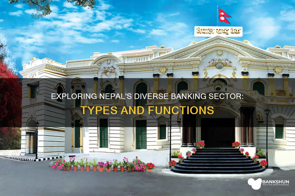 how many types of bank in nepal