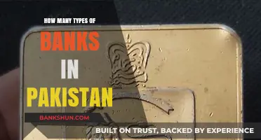 Exploring Pakistan's Diverse Banking Landscape: Types and Functions