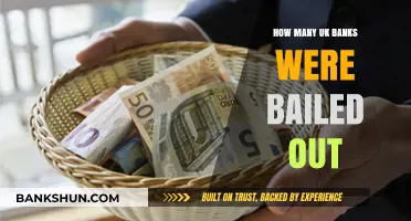 UK Bank Bailouts: How Many Institutions Were Rescued?