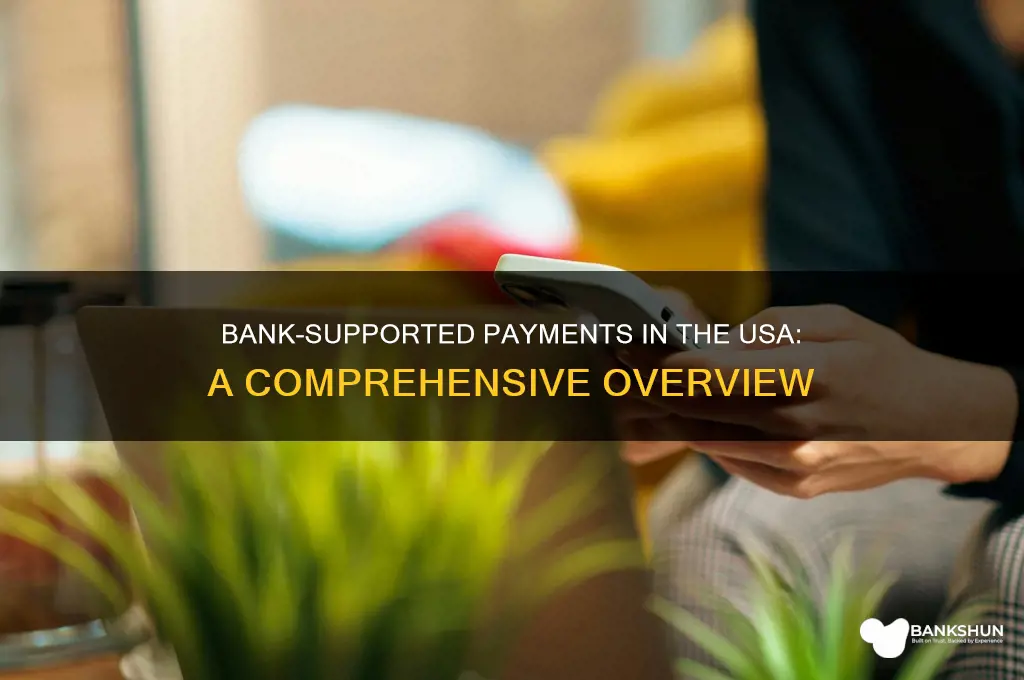 how many usa payments are bank supported