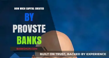 How Provident Banks Generate Capital: A Comprehensive Financial Analysis