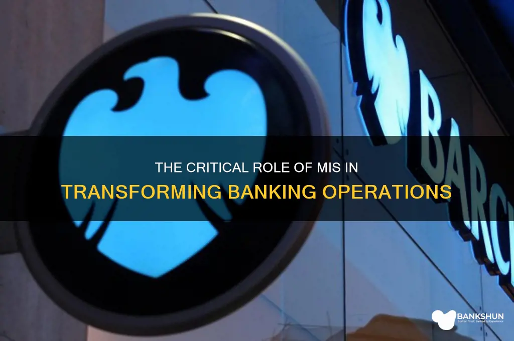 how mis is important in banking sector