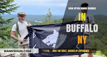 Buffalo NY Bank Robberies: Frequency and Trends Uncovered