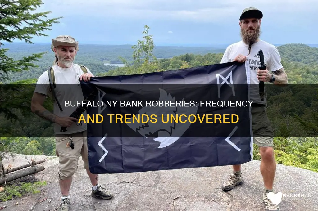 how often banks robbed in buffalo ny