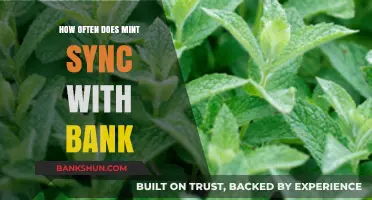 How Often Does Mint Sync with Your Bank: A Comprehensive Guide