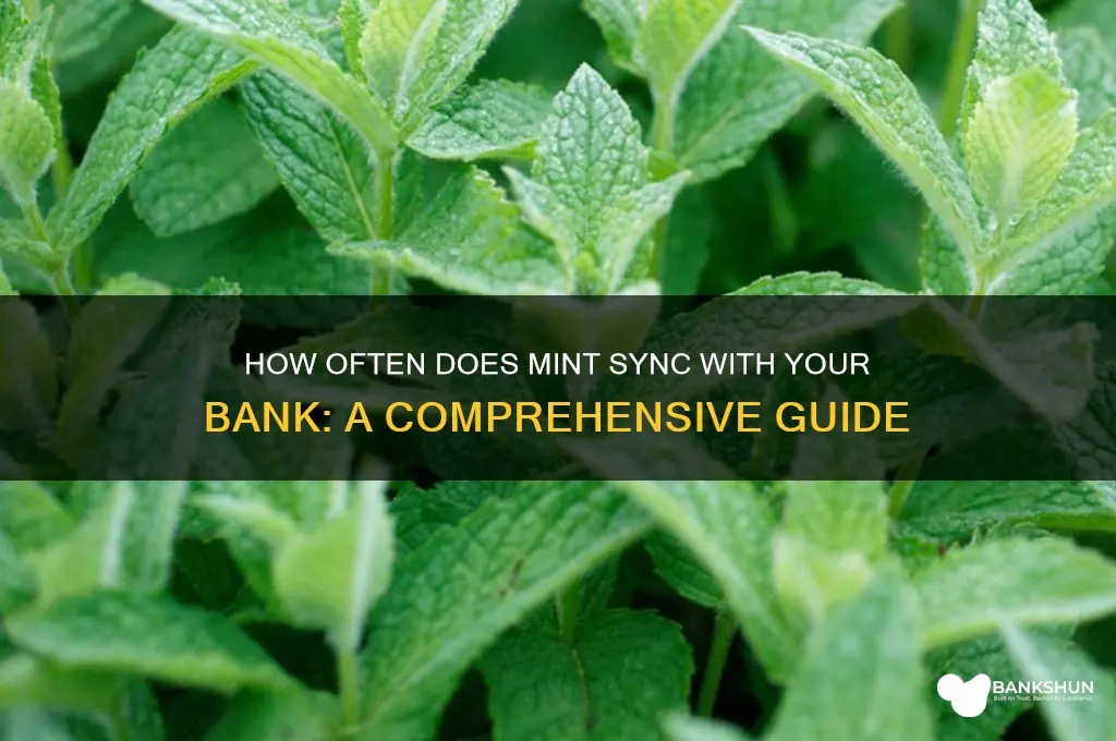 how often does mint sync with bank